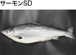 ヒラメ