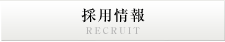 採用情報